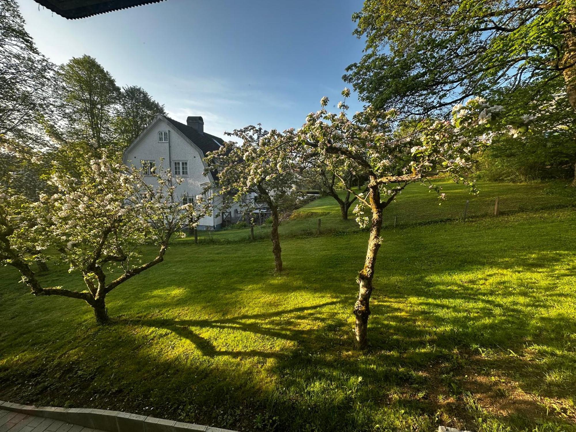 Luxury 2 Rooms Residence At The Heart Of Borås Exteriér fotografie